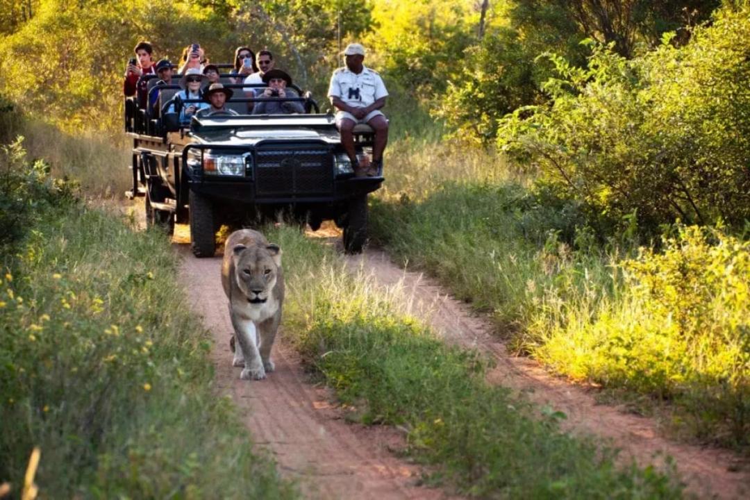 https://media.leisurecom.com/cruise/image-2026-05-01-11-13-26.webp