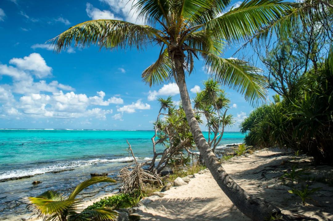 https://media.leisurecom.com/cruise/image-2026-05-15-10-11-30.webp
