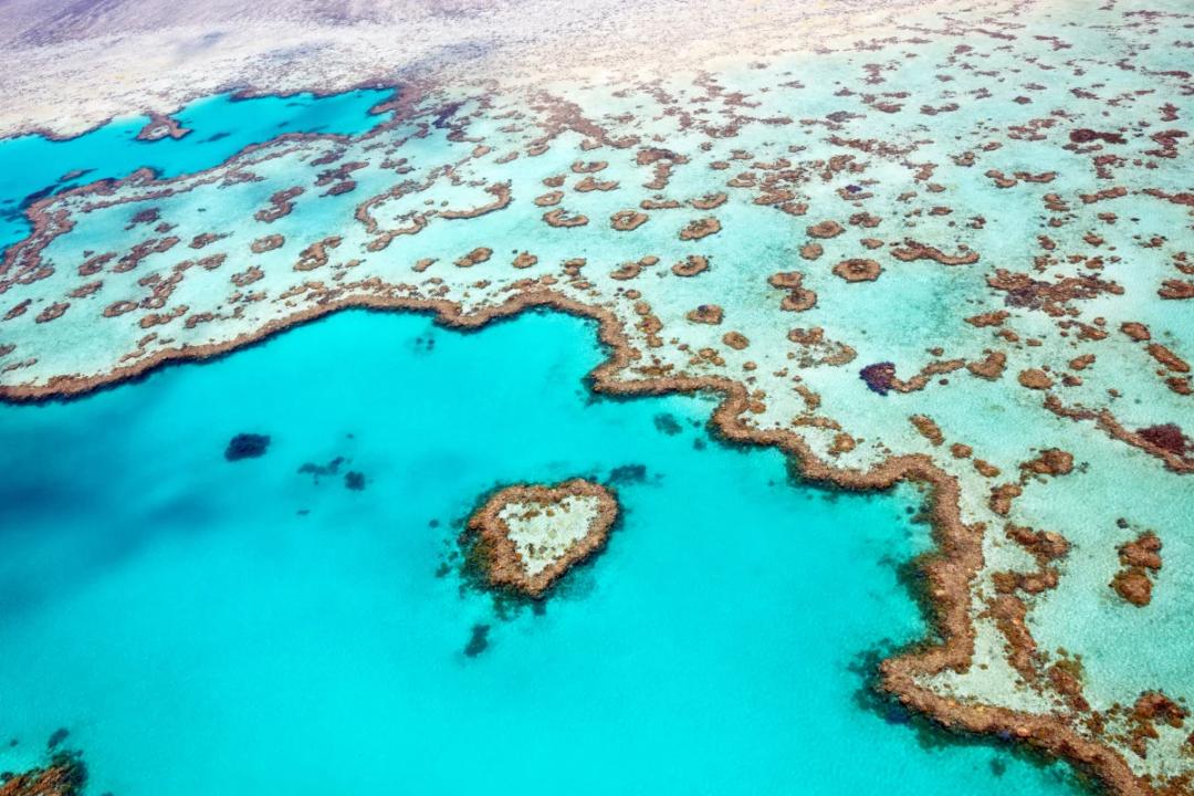 https://media.leisurecom.com/cruise/image-2026-08-26-15-14-55.webp