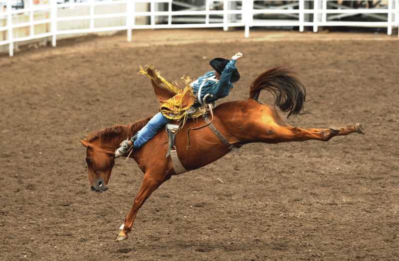 Calgary Stampede and Alaska Cruise