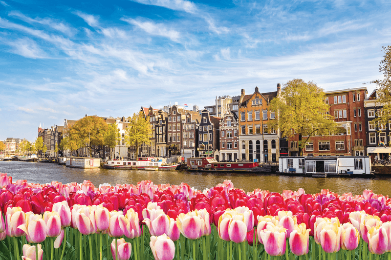 Reflections of the Rhine and Main