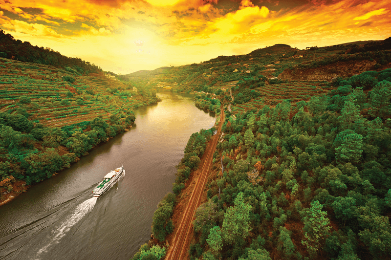 Essence of Portugal and Douro Discovery