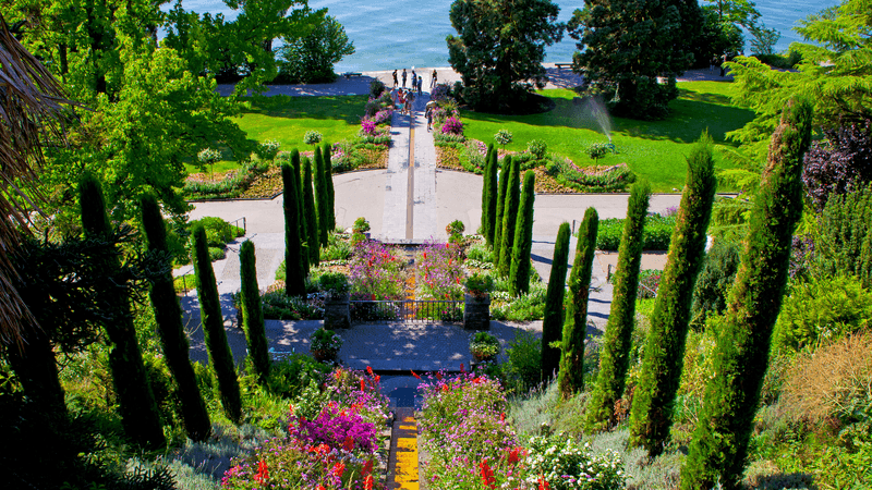 Swiss Alpine Gardens, Wildflowers & Rail Journeys