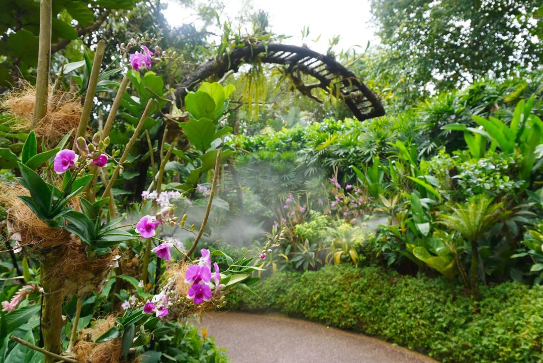 Singapore - A City Within Nature