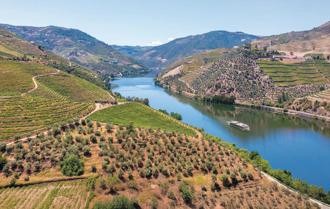 Douro Delights with Madrid