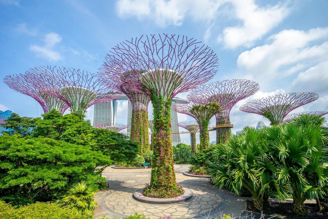 Singapore - A City Within a Garden