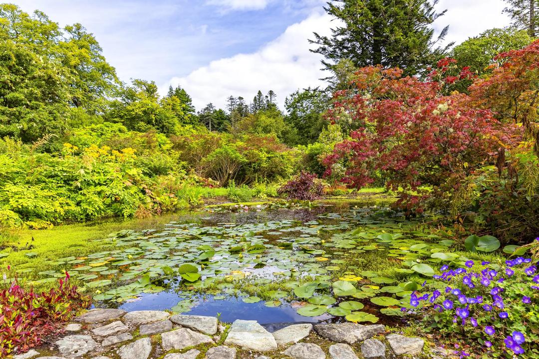 Botanical Grandeur and Cruises of the Canary Islands and the Scottish Highlands