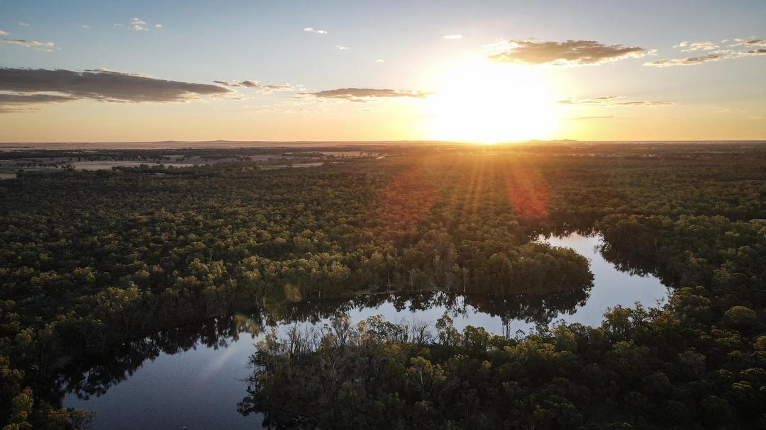 Highlights of the Hunter Valley and Murray River