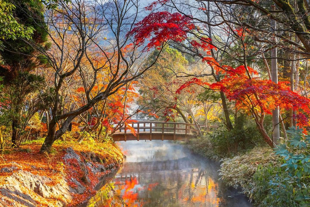 Cultural Japan with Kyushu