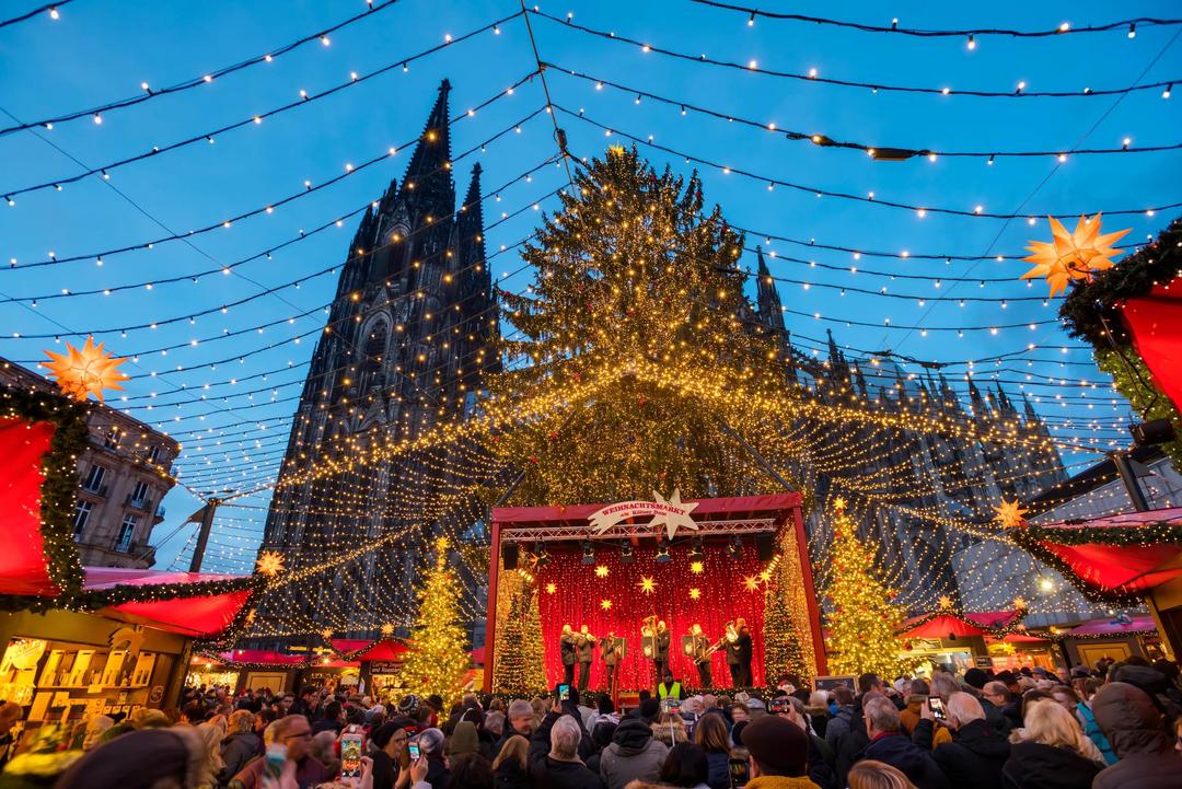 Enchanting Rhine Christmas Markets
