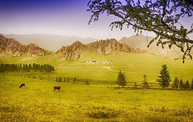 Terelj National Park