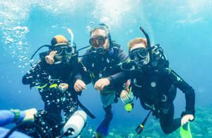Snorkel & Dive: Great Barrier Reef
