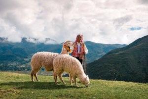 Lima to Buenos Aires