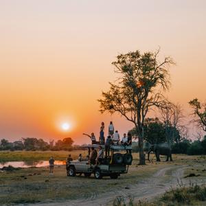Okavango Delta and Deserts 35 to 45