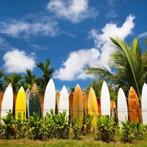 Best of Hawaii