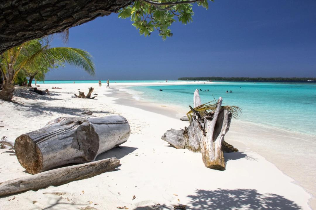 https://media.leisurecom.com/cruise/image-2024-11-14-17-33-20.webp