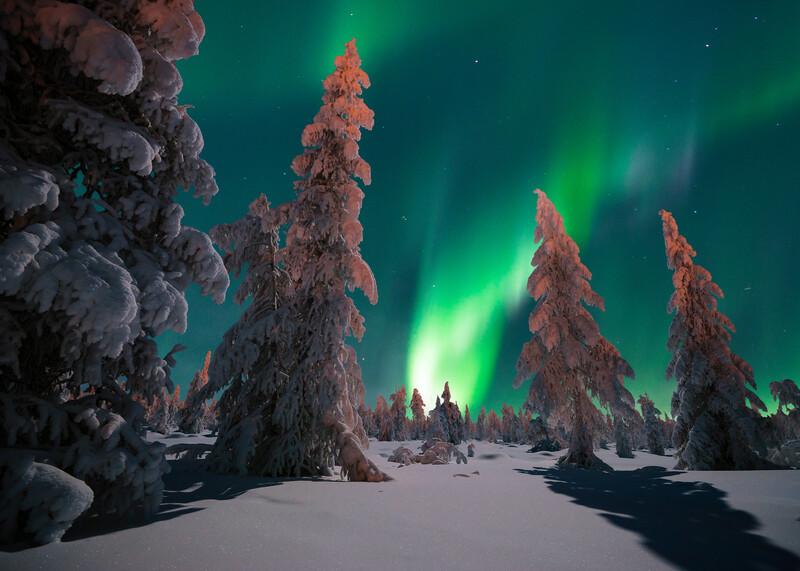 Northern Lights Adventure