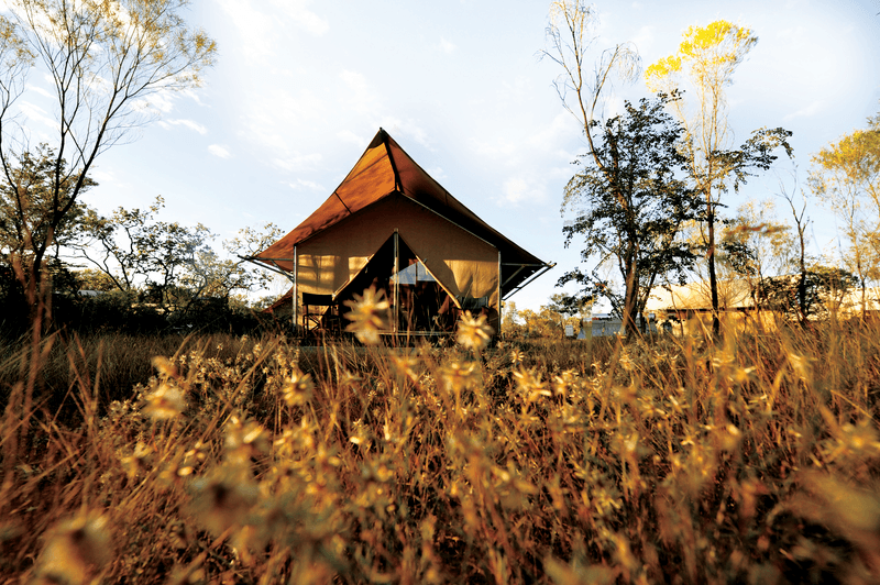 3 Nights at Bungle Bungle Wilderness Lodge