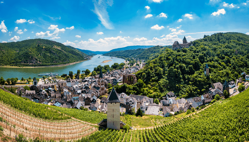 Highlights of the Rhine and Main