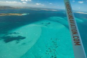 Tasting Tasmania & Flinders Island