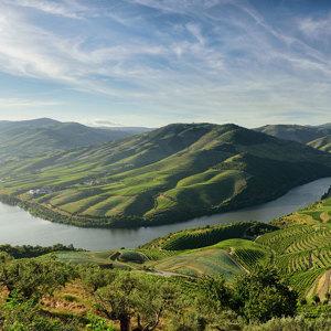 Portugal Uncovered - Small Group
