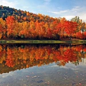 New England's Fall Foliage