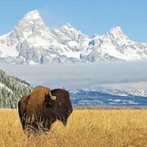 National Park Wonders