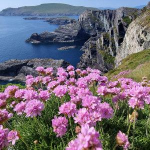 Ireland's Icons