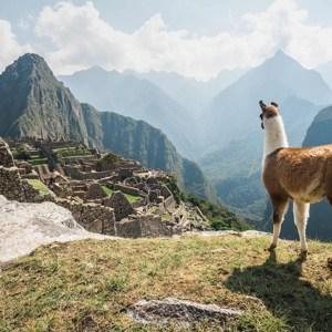 Peru Explorer