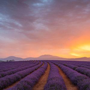 Tassie's East Coast Highlights