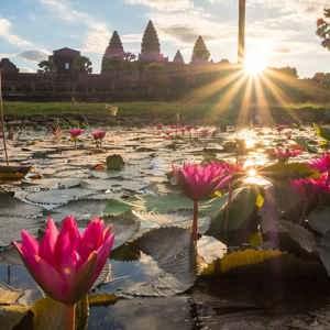 Cambodia Calling - Small Group